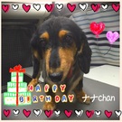 HAPPY BIRTHDAY!