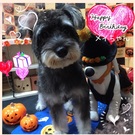 HAPPY BIRTHDAY!