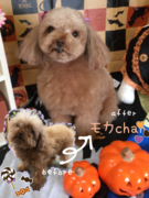 ビフォーアフター☆