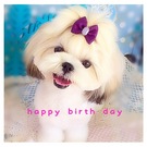 HAPPY BIRTHDAY!