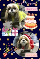 HAPPY BIRTHDAY!
