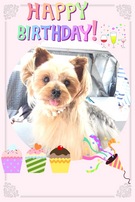 HAPPY BIRTHDAY!
