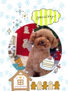 甘えん坊さん♡