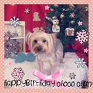 HAPPY BIRTHDAY！