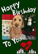 HAPPY BIRTHDAY!