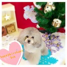 HAPPY BIRTHDAY!