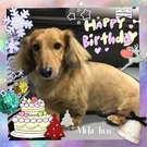 HAPPY BIRTHDAY！