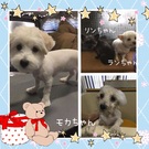 4ヶ月のMIX♫