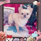 HAPPY　BIRTHDAY！
