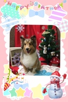 HAPPY　BIRTHDAY！