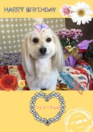 HAPPY BIRTHDAY!