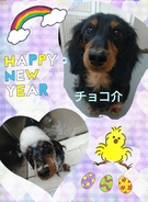 ママに見守られながら・・・