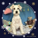キレイなホワイト☆.。.:*・