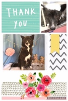 甲斐犬MIX♡