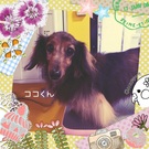 キュートなカメラ目線♡
