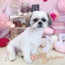 HAPPY BIRTHDAY!