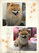 ニコニコ(^ω^)