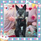 HAPPY BIRTHDAY!
