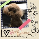 HAPPY BIRTHDAY!