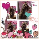HAPPY BIRTHDAY!