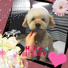 HAPPY BIRTHDAY!