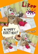 HAPPY BIRTHDAY!