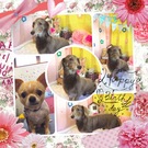 HAPPY BIRTHDAY!
