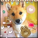 ウルウルな瞳で・・・☆.。.:*・