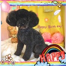 HAPPY BIRTHDAY!
