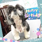 HAPPY BIRTHDAY!