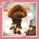 HAPPY BIRTHDAY!