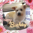 HAPPY BIRTHDAY!