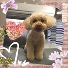 HAPPY BIRTHDAY!