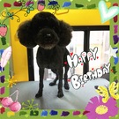 HAPPY BIRTHDAY!