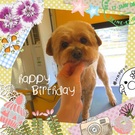 HAPPY BIRTHDAY!