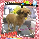 HAPPY BIRTHDAY!