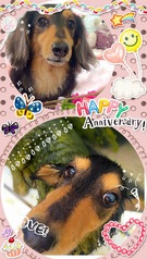 HAPPY BIRTHDAY!