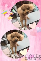 お顔まん丸かわいく変身♡