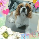 はじめてのカット♪