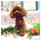 HAPPY BIRTHDAY!