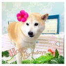 HAPPY BIRTHDAY!