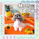 HAPPY BIRTHDAY!