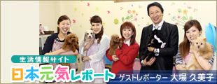 生活情報サイト 日本元気レポート