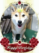 081027_1847~0002 H12、10、22 滝沢コロ002.jpg