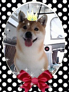 081106_1448~0001 H13、11 、23 中山パ0001.jpg