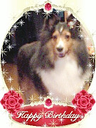 081209_1450~0002001.jpg