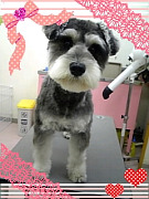 091219_1914540001.jpg