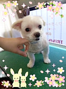 100419_1131130001.jpg