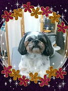 20081102162819001.jpg
