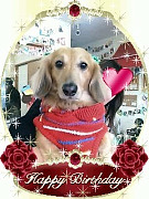 20081226145150001001.jpg